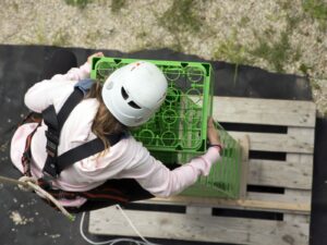 Die beliebte Kletterattraktion die man sonst von Dorf-, Mai- und Feuerwehrfesten kennt, kann bei uns sehr rasch und ohne aufwändigen Kran aufgebaut werden und ihrer Gruppe eine spannende und lustige Zeit bringen.