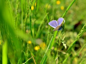 hsg-galerie-natur-002_web