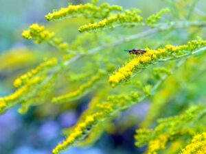 hsg-galerie-natur-003_web