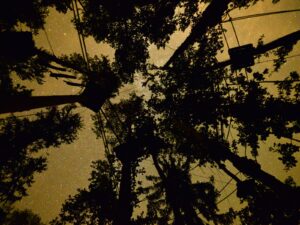 hsg-galerie-natur-006_web