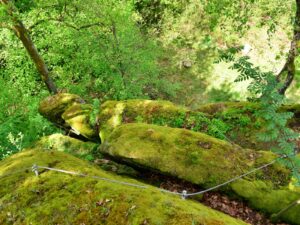 hsg-galerie-natur-010_web