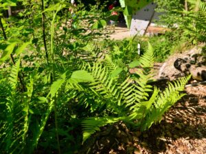 hsg-galerie-natur-011_web