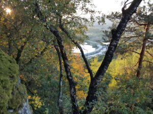 hsg-galerie-natur-012_web