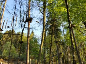 hsg-galerie-natur-013_web