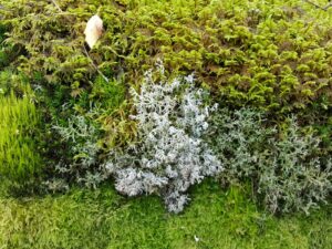 hsg-galerie-natur-021_web