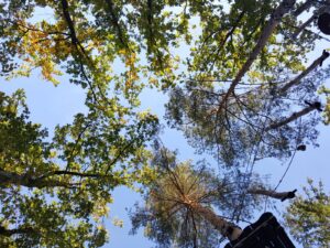 hsg-galerie-natur-025_web