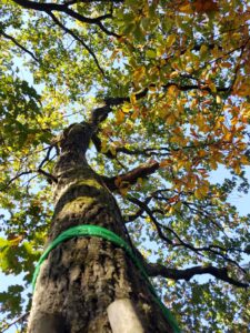 hsg-galerie-natur-026_web