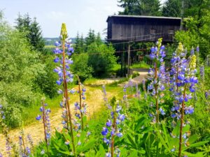 hsg-galerie-natur-027_web