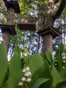 hsg-galerie-natur-028_web