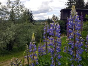 hsg-galerie-natur-030_web