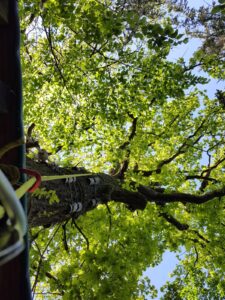 hsg-galerie-natur-033_web