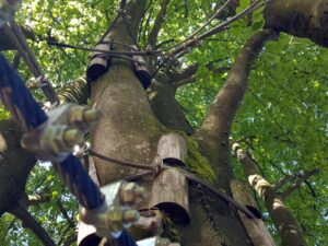 hsg-galerie-natur-034_web