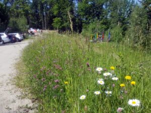 hsg-galerie-natur-035_web