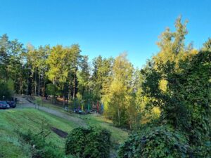 hsg-galerie-natur-036_web