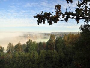 hsg-galerie-natur-039_web