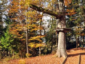 hsg-galerie-natur-040_web