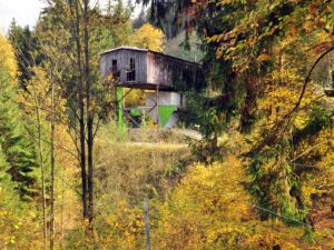 hsg-galerie-natur-041_web