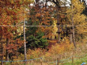 hsg-galerie-natur-043_web