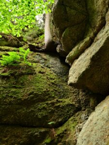 hsg-galerie-wanderweg-007_web