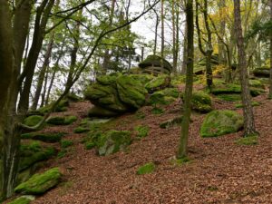 hsg-galerie-wanderweg-008_web