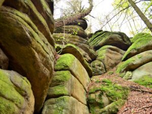 hsg-galerie-wanderweg-009_web