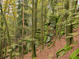 hsg-galerie-wanderweg-010_web