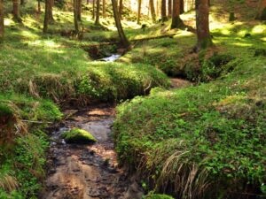 hsg-galerie-wanderweg-013_web